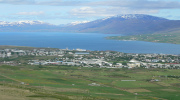 Reboisement en Islande 